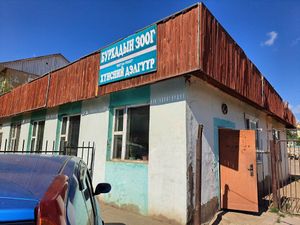  at Burkhadyn Zoog - Бурхадын зоог in Ulaanbaatar