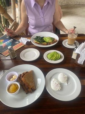 Breakfast- the mango jam was amazing… we asked for extra toast 😎  at Potheads Pueblo in Tulum