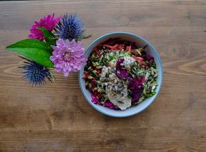  at The Not Found Kitchen in Bristol