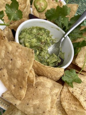 Smashed avocado and chipss  at Bar Sofia in Halifax