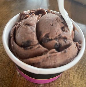 Grasshopper Kids Scoop  at Josh & John's in Colorado Springs