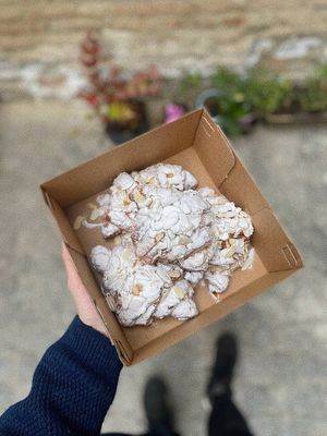  at Stricha in Tbilisi