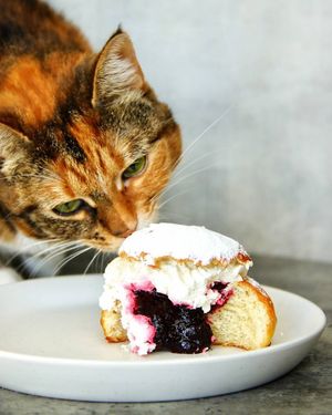  at Stricha in Tbilisi