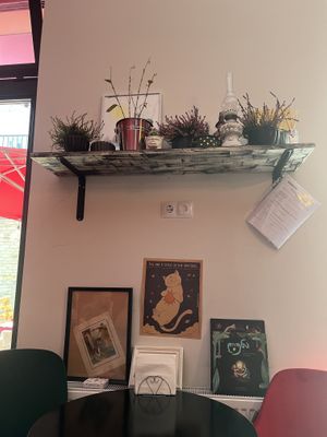   at Stricha in Tbilisi