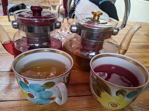  at Stricha in Tbilisi