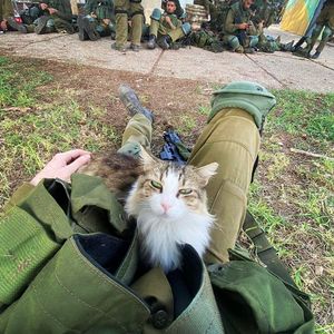 #Veganuary at Stricha in Tbilisi