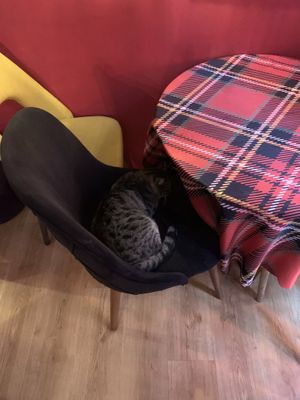   at Stricha in Tbilisi