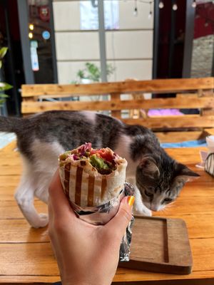 Falafel wrap. at Stricha in Tbilisi