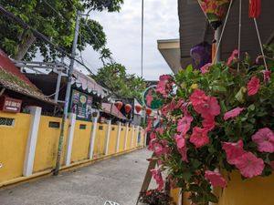  at Nhà hàng chay Veggie Saigon - Vietnam Vegan Heritage in Hoi An
