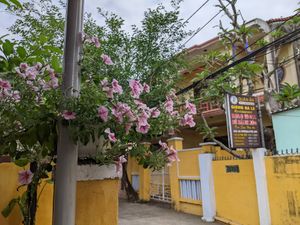  at Nhà hàng chay Veggie Saigon - Vietnam Vegan Heritage in Hoi An