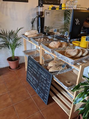  at Gato Legal Coffee Roastery in Ponta Do Pargo