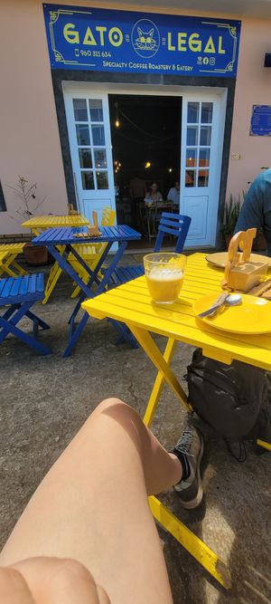  at Gato Legal Coffee Roastery in Ponta Do Pargo