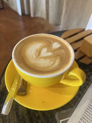   at Gato Legal Coffee Roastery in Ponta Do Pargo