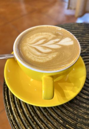 Hafer FlatWhite  at Gato Legal Coffee Roastery in Ponta Do Pargo