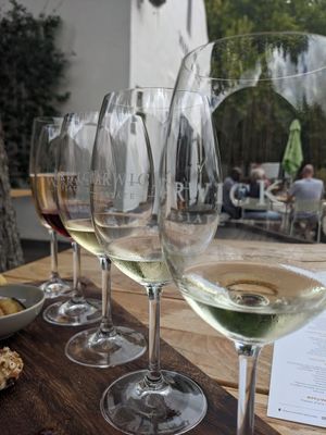 Wine tastings at Warwick Wine Estate in Stellenbosch