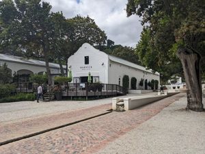 The estate at Warwick Wine Estate in Stellenbosch
