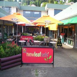  at The New Leaf Cafe in Murwillumbah