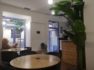 Inside the cafe at Lilo Brunch in Madrid
