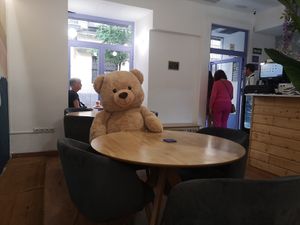 Teddy Bear 🐻 at Lilo Brunch in Madrid