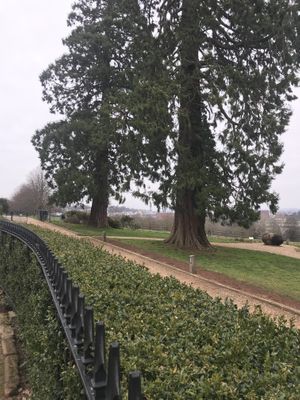 View  at The Courtyard Cafe in Bristol