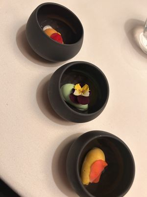 Choice of sorbet   at Salabka in Prague