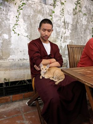  at Muro Organic Vegan Restaurant in Nha Trang