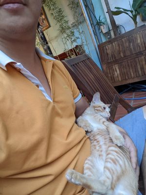  at Muro Organic Vegan Restaurant in Nha Trang