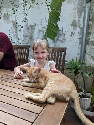  at Muro Organic Vegan Restaurant in Nha Trang