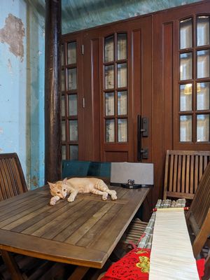  at Muro Organic Vegan Restaurant in Nha Trang