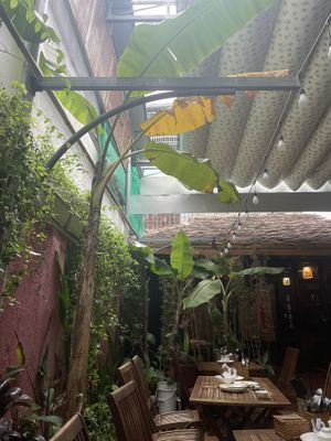   at Muro Organic Vegan Restaurant in Nha Trang