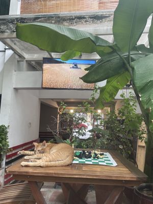   at Muro Organic Vegan Restaurant in Nha Trang