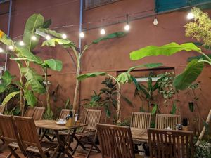  at Muro Organic Vegan Restaurant in Nha Trang