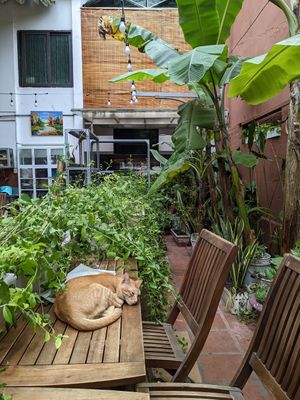  at Muro Organic Vegan Restaurant in Nha Trang