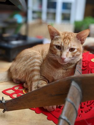  at Muro Organic Vegan Restaurant in Nha Trang