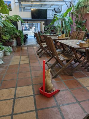  at Muro Organic Vegan Restaurant in Nha Trang