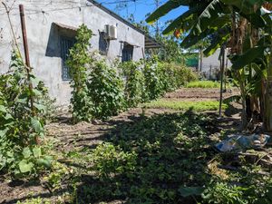  at Muro Organic Vegan Restaurant in Nha Trang