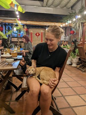 at Muro Organic Vegan Restaurant in Nha Trang