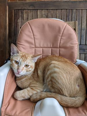  at Muro Organic Vegan Restaurant in Nha Trang