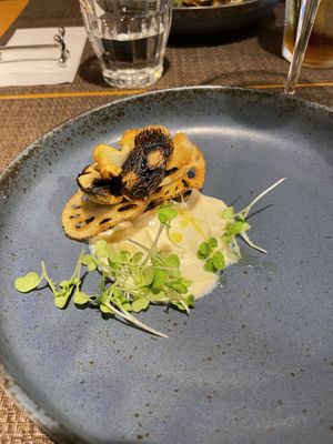   at MUSHROOM TOKYO in Tokyo