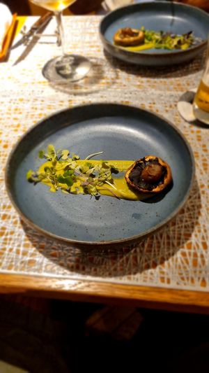  at MUSHROOM TOKYO in Tokyo