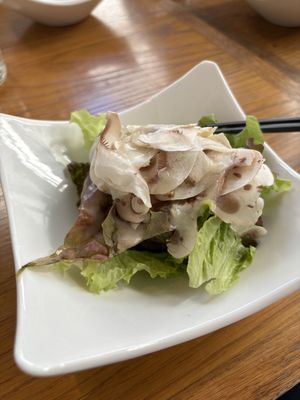   at MUSHROOM TOKYO in Tokyo