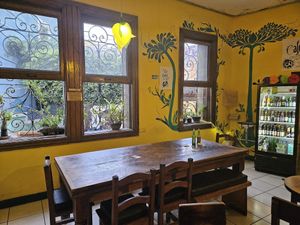  at Habibti Falafel in Guanajuato