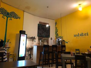 Falafel at Habibti Falafel in Guanajuato