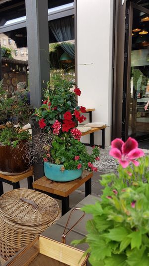  at NOUMI Mitte in Berlin