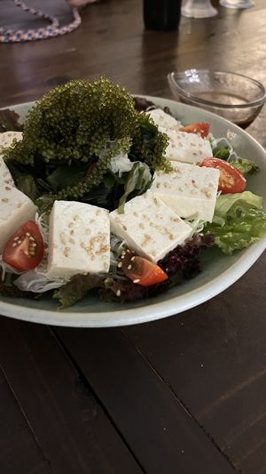 Insalata di alghe e tofu   at Garamanjyaku in Kin
