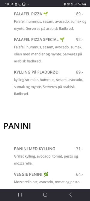 Vegan falafel pizza at Café MOMU in Copenhagen