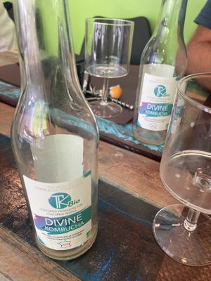 Heerlijke kombucha!  at NUABOL in Saumur