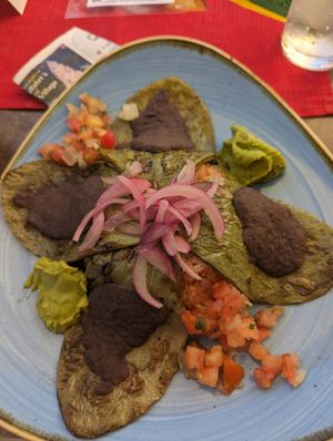 Nopales granitos with guacamole instead of cheese at Don Gallo - Comida Mexicana in Rothenburg Ob Der Tauber