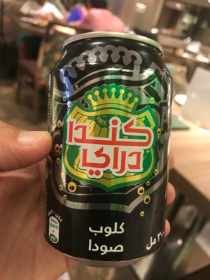 I ordered the lemon soda.  They bring a glass filled 1/4 with squeezed lemon and some ice. Then you add Canada Dry, which is shown here in Arabic at Veganesha  in Dubai