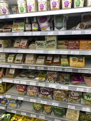   at Hoxton Village  in East London